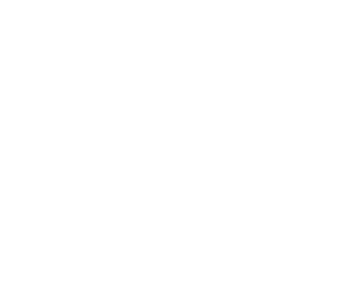 Amazing Limousine